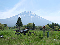 風薫る木立を抜けて