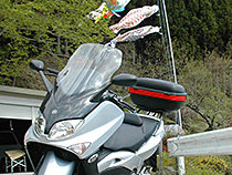 水を得た魚？