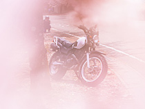 桜色に染まる