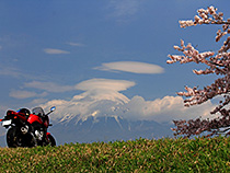 桜と富士山と