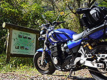 XJR400R