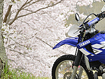 私の幸せ時間