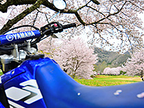 旅への誘い