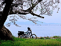 湖の春