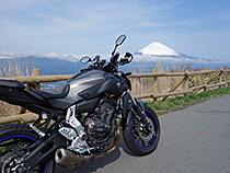 春の富士