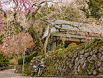 悟真寺にて