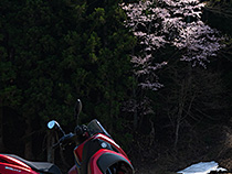 雪と思い出