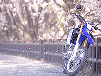 吹雪く