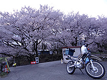 高遠城址公園第８駐車