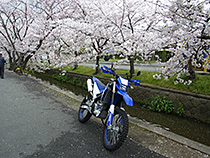 毎年恒例の！