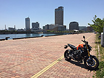 沿岸を駆ける