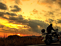 暖かな夕日