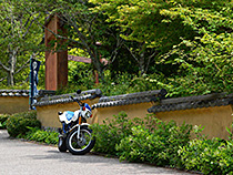 松平の郷にて緑とＴＷ
