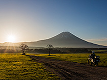 草原の朝