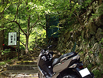 新緑に囲まれて。