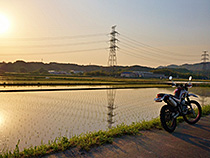 田んぼの水面