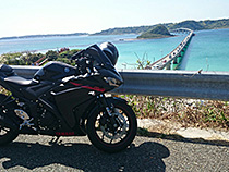 初めての相棒と