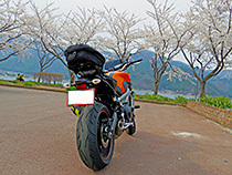 春を追いかけて