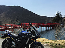 赤と青