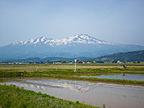 鳥海山の春。
