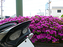近場で