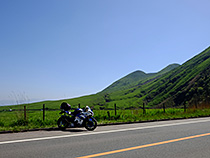 新緑の春