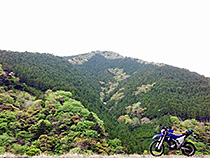春の山