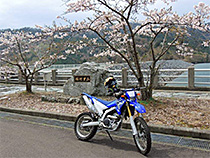 稲叢山