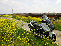 お昼休みの小旅行