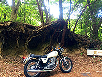 岐阜、この後転けた