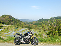 大山千枚田
