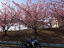 ちょっと寄り道
