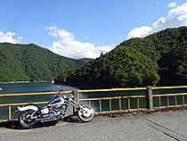 欲張り