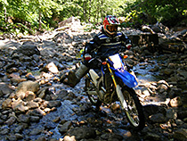 WR250R