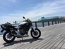 海とレーシングブルー