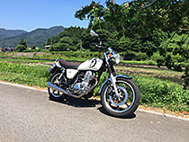 午後の川辺にて
