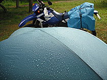 雨派