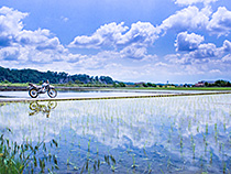 田園