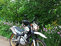 もうすぐ夏も終わり…