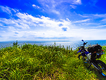 海と山