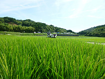 ちょっと寄り道