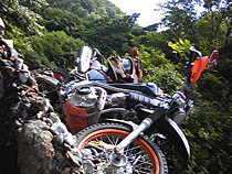 山を駆け巡る熱い夏