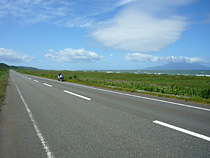 夏・オロロン街道