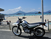 今日は海