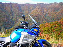 紅葉の山へ