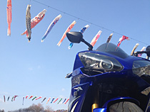 ぽかぽか陽気に誘われ