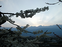 高地の春