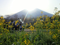 富士山と