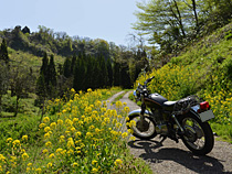 春の山道