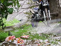 桜吹雪に包まれる
